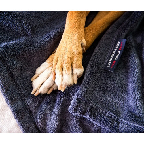 American Blanket Company Pet Blankets & Beds