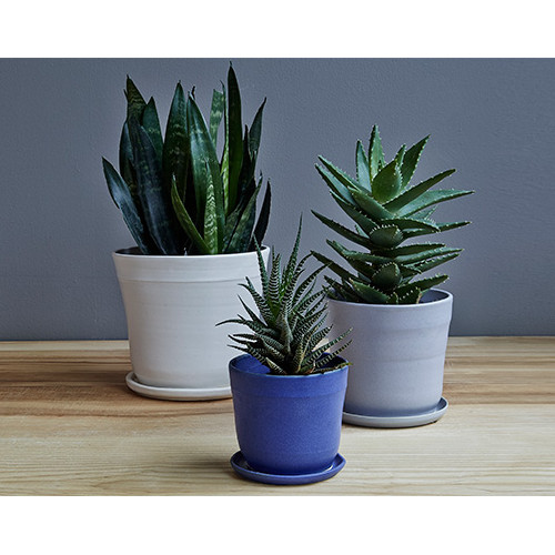 Shop | Kaufmann Mercantile