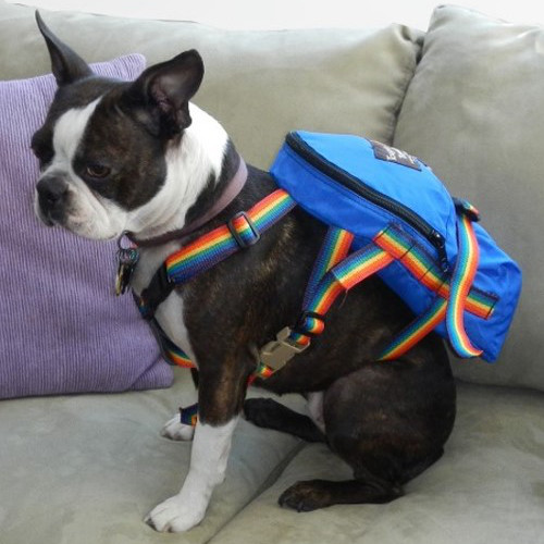 Dog Bags | Tough Traveler